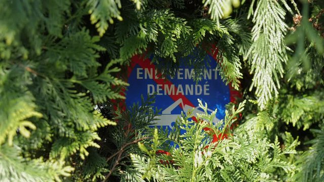 Do not park sign sign with text  seen through bushes