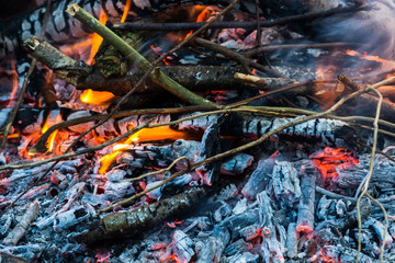 Obraz na płótnie Canvas close up on some burned woods
