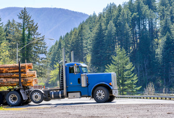 Day cab blue big rig semi truck transporting large wood logs on the semi trailer driving on the...