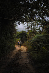 Caminata entre amigos