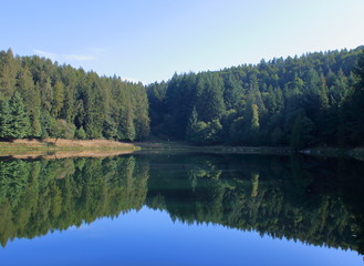 Alpine lake with coniferous forest in the background and its reflection on the water
