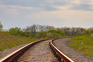 Fototapeta premium railroad tracks in the forest
