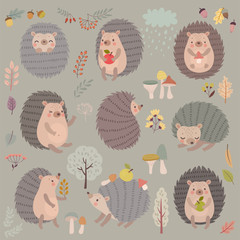 Hedgehog set hand drawn style. Cute Woodland characters playing, sleeping, relaxing and having fun. © avian