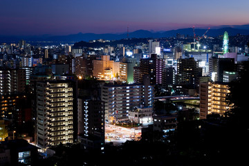 Obraz premium 城山より見る鹿児島市街地の夜景 