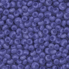 Seamless pattern with blueberries. Vector background design for tea, juice, jam, sweets and eco-friendly products. Cartoon. Vegetarian menu. For textiles, wrapping paper, banners, labels and posters.
