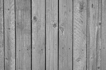 An old wall of wooden boards as a background in black and white. Copy space.