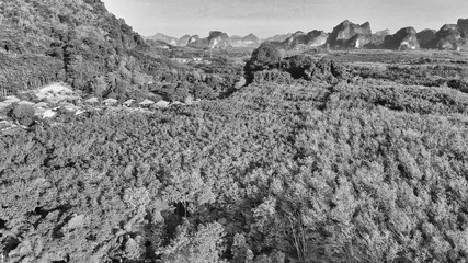 Black and white aerial view of Ao Nang countryside, Thailand. Province of Krabi
