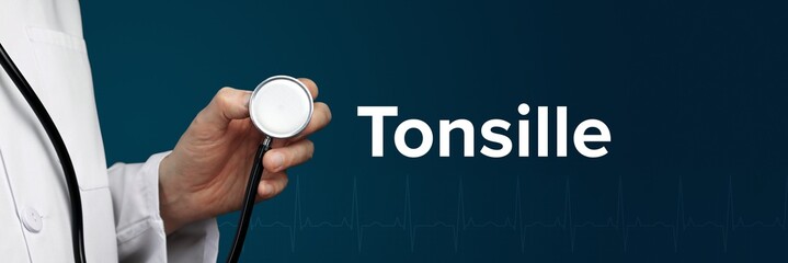 Tonsille. Arzt im Kittel hält Stethoskop. Das Wort Tonsille steht daneben. Symbol für Medizin, Krankheit, Gesundheit