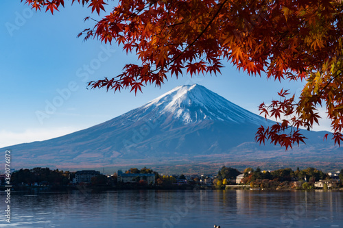 富士山 河口湖 紅葉 Wall Mural Wallpaper Murals Yusei