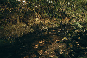 Chill And Tranquility 