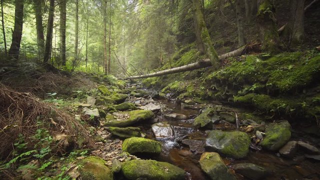 Stream flows around rocks and boulders in Carpathian Mountains