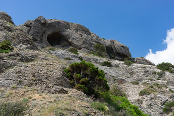 Natural mountain landscape with vegetation