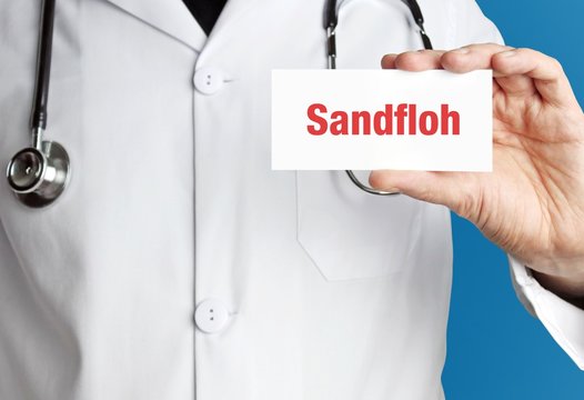 Sandfloh. Arzt im Kittel h&auml;lt Visitenkarte hoch. Der Begriff Sandfloh steht im Schild. Symbol f&uuml;r Krankheit, Gesundheit, Medizin