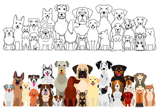 dogs big group, line art and color set