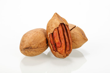 The creative drawing of the retro style of Pecan