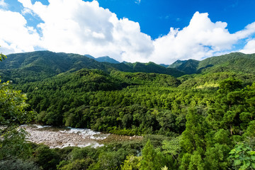 屋久島自然世界遺産
