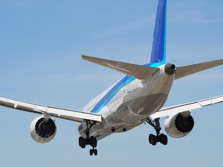 飛行機