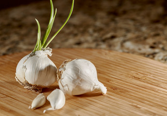 Garlic Bulbs with Sprouted Live Bulb