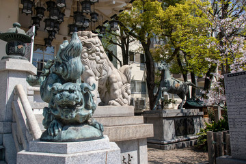 Fototapeta na wymiar 大坂／難波八坂神社の狛犬
