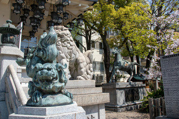 Fototapeta na wymiar 大坂／難波八坂神社の狛犬