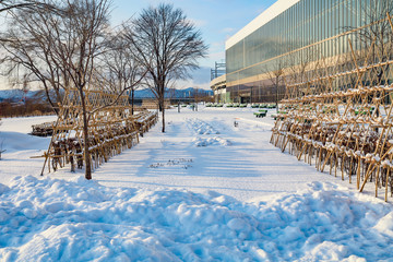 Asahikawa station, Hokkaido, Japan in  winter with snow ground at front area. During 2020 is 
without no traveler in Asahikawa incase of covid-19 virus.