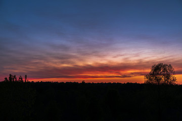 sunset in the field
