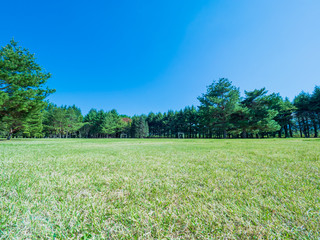 新緑と青空　初夏の風景