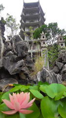 Fototapeta premium Lotus pods with old church background in the temple