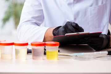 Young male chemist working in the lab