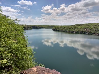 lake and forest