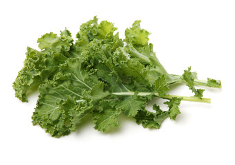 Fototapeta premium kale leafy vegetable closeup on white background
