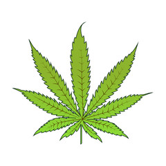 Marijuana, Cannabis icons. Medical marijuana icons. Marijuana leaf. Drug consumption. Marijuana Legalization. Isolated vector illustration.
