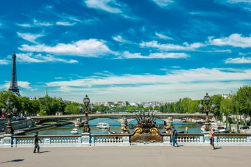 Photo sur Plexiglas Pont Alexandre III Vista do Rio Sena sob a Ponte Alexandre III em Paris