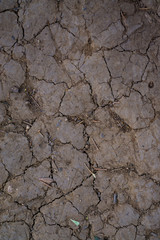 Cracked soil on ground