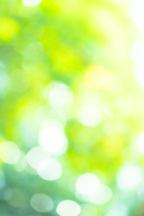 Abstract background Natural green bokeh