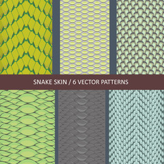 set of vector decorative snake skin textures - 340806267