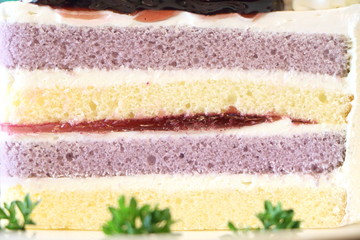 Textured layer of blueberry sponge cake, look soft and delicious, can use for background