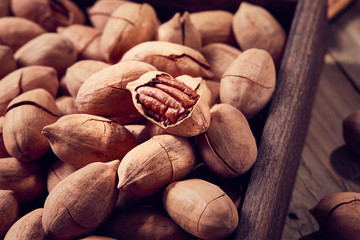 The retro style of Bigen fruit placed in the container