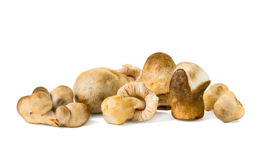 Straw mushrooms isolated on white background ..