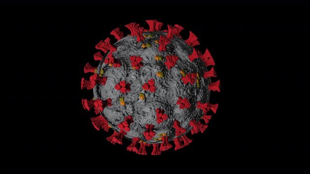 3D-Animation of Coronavirus (COVID-19) with optional luma matte. Alpha Luma Matte included. Concept of SARS-CoV-2 Virus Infection. 4K.