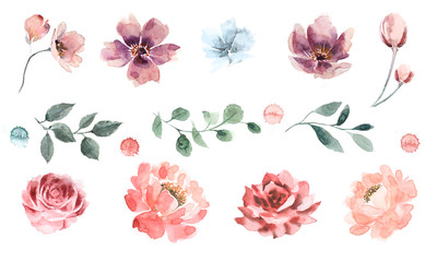 Big set of watercolor flowers and leaves