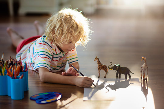Little boy shadow drawing animals.