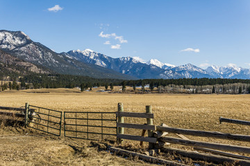 Fototapeta na wymiar rocky mountain peaks view and yellow country field in spring landscape East Kootenay british columbia canada