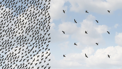 Social Distancing Strategy