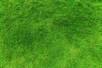 green grass texture background