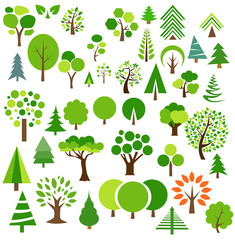 Set of trees vector illustration