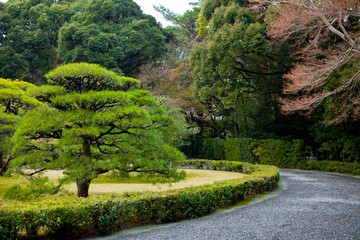 Obraz premium path in the park