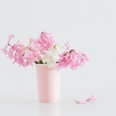pink hyacinth in vase on white background
