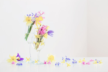 spring flowers in wineglass on white background