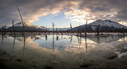 Spring Sunrise